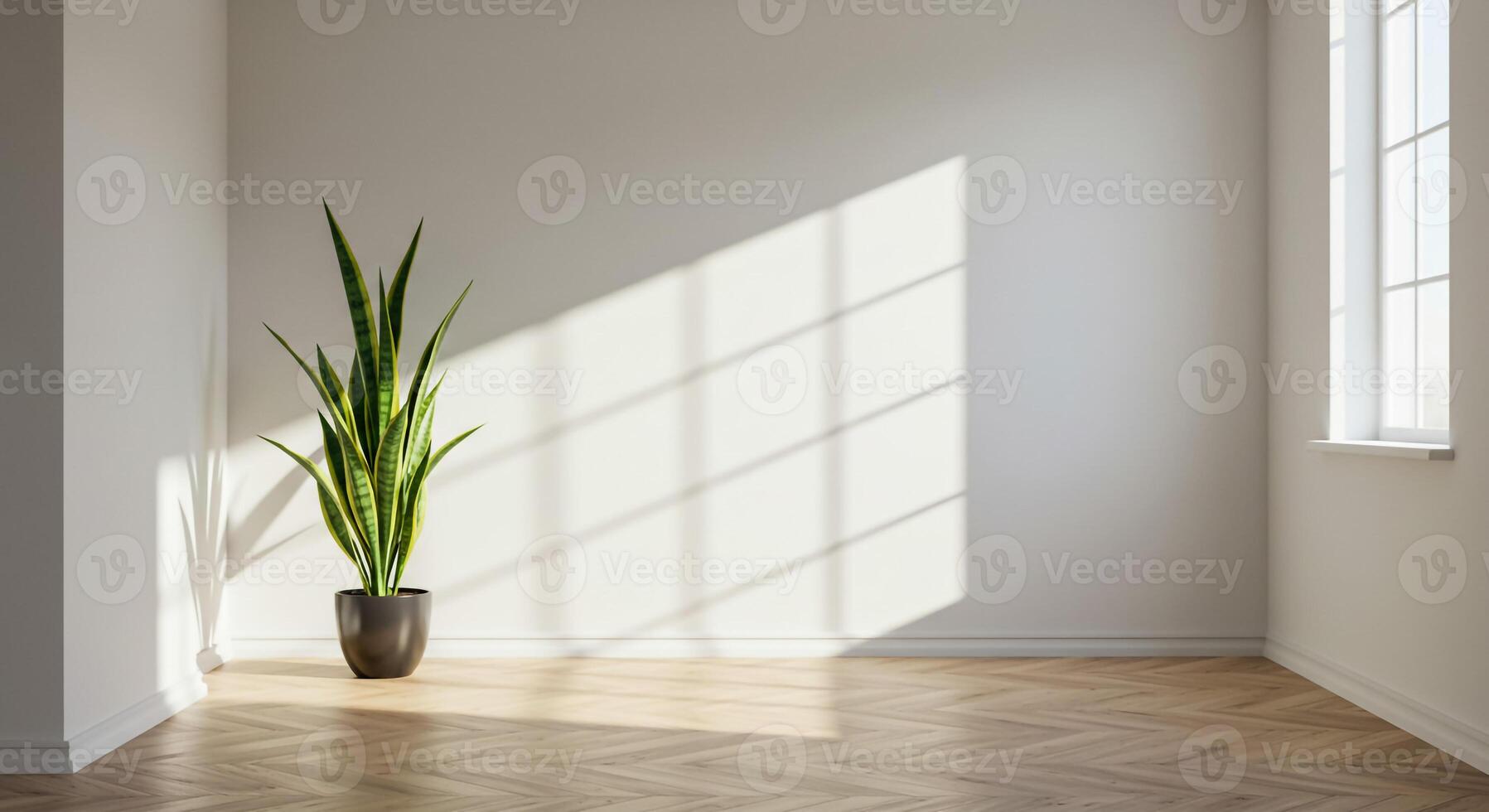 Empty room with a potted plant in the corner photo