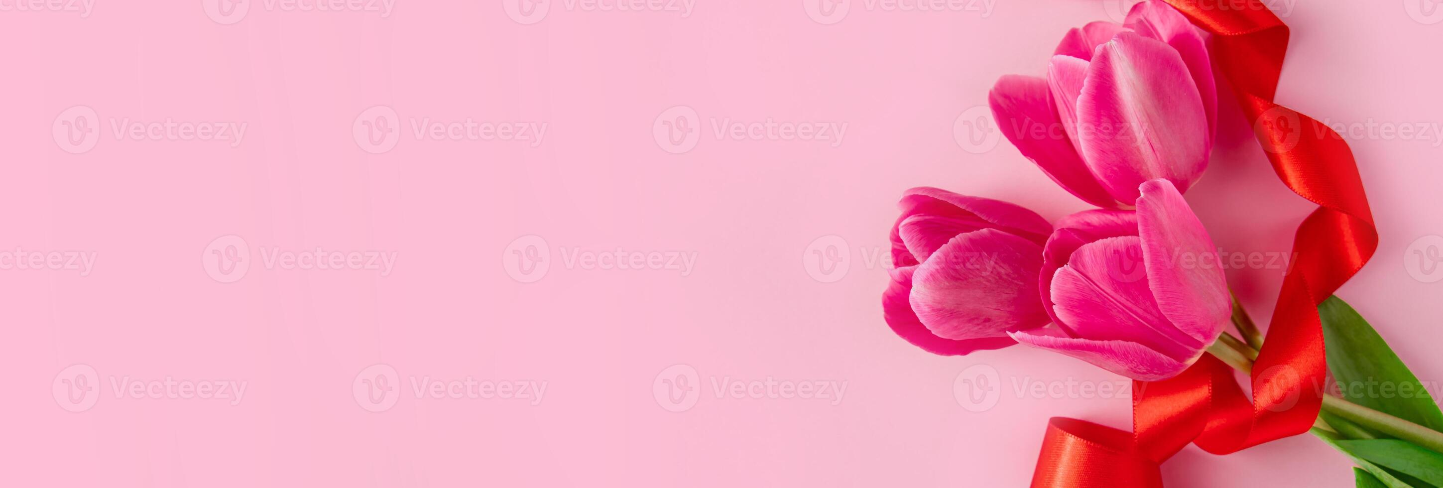 Bouquet of colorful fresh tulips with red ribbon on pink background. Symbol of spring. Happy easter photo