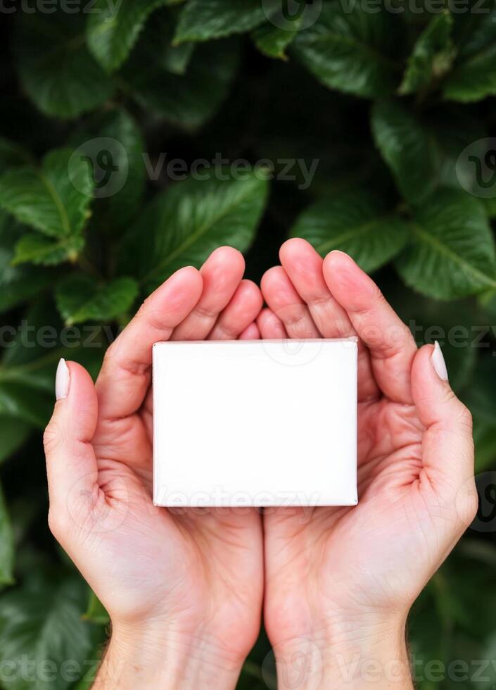 White soap box in female hands with green leaves in the background. White Box in Hands photo