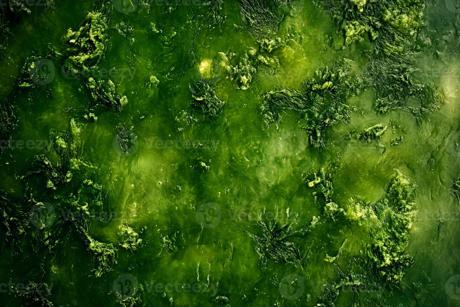 Textured Green Surface with Swirling Patterns photo