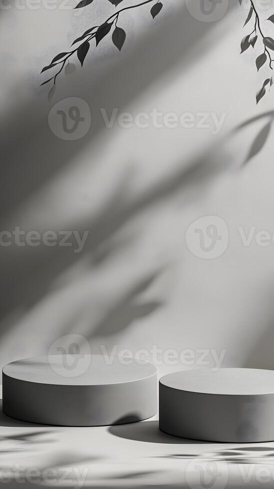 Minimalist Display with Shadows and Circular Forms in an Elegant Setting photo
