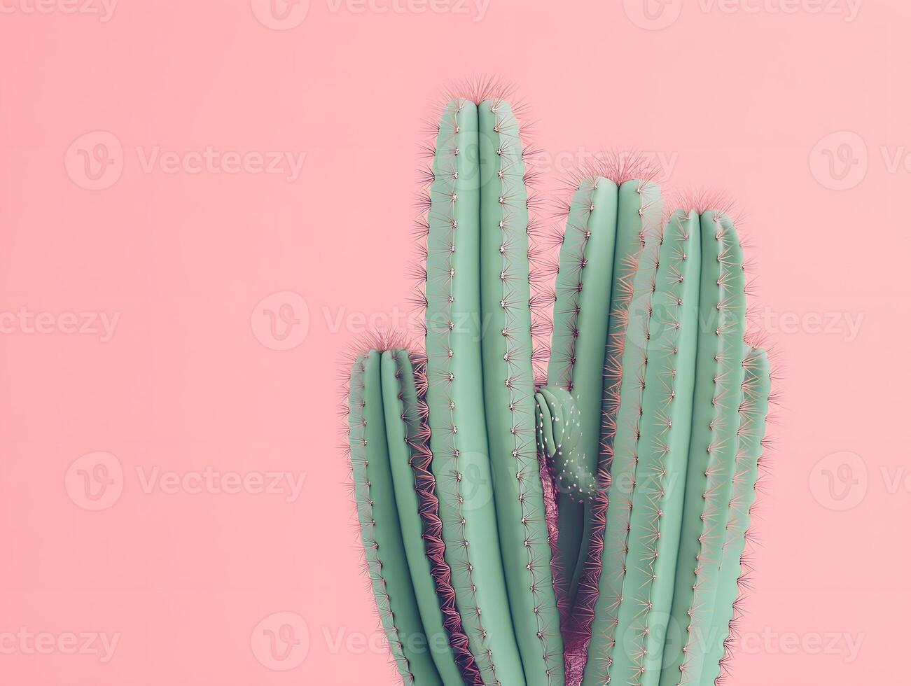 Pale Green Cactus on Pink Background photo