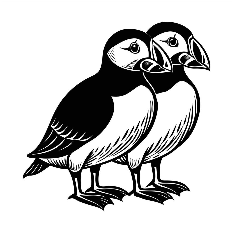 Two Puffin Birds vector