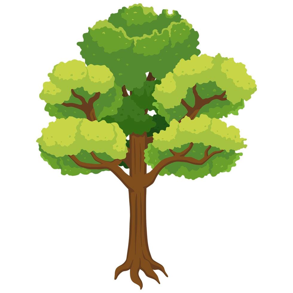 Illustration Of A Beautiful Tree Isolated On White Background vector