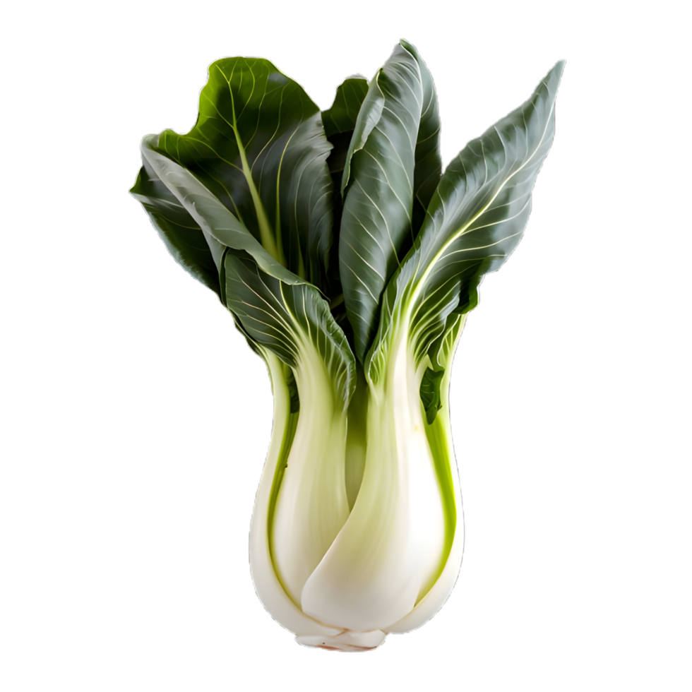 cabbage isolated on background png