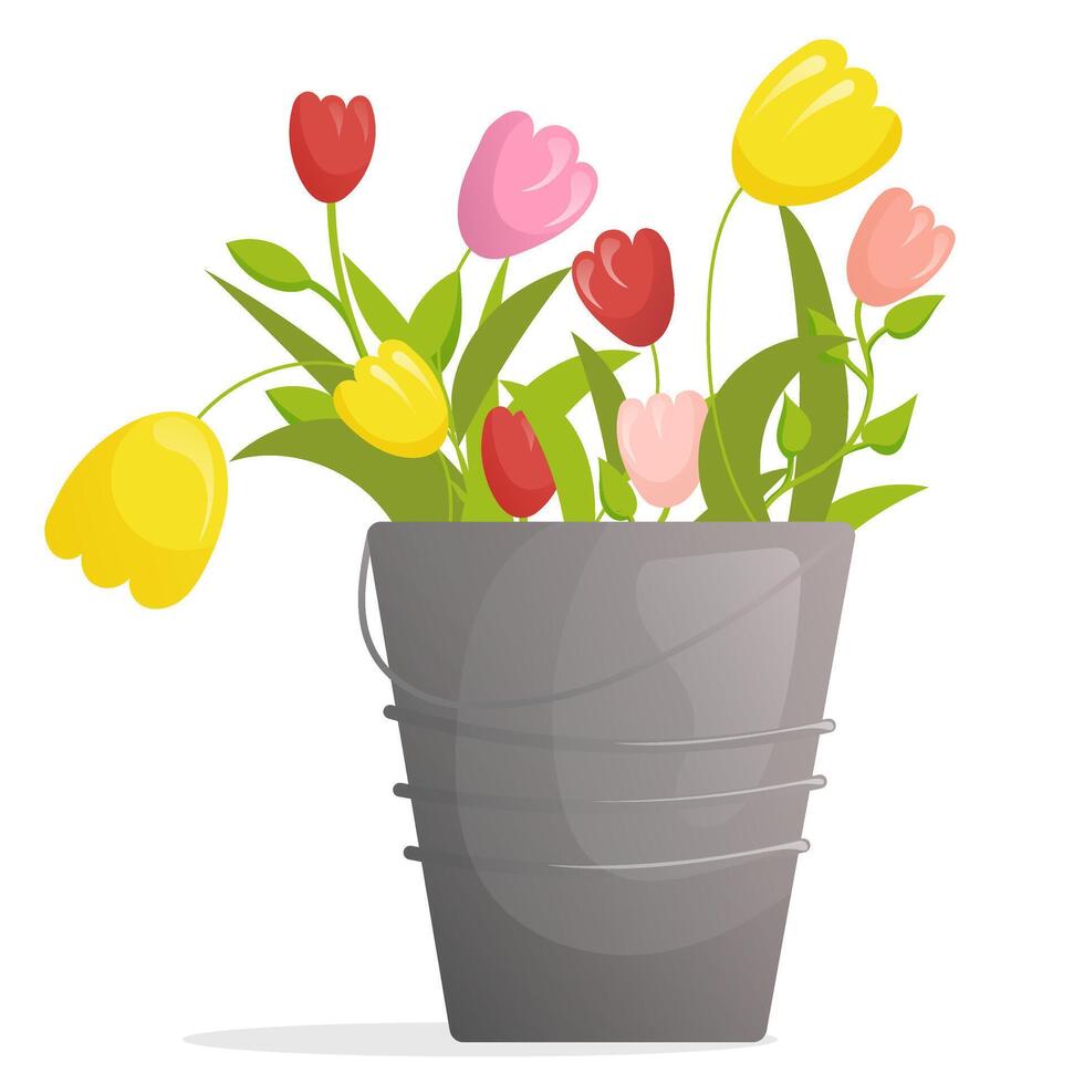 bucket with spring tulips vector