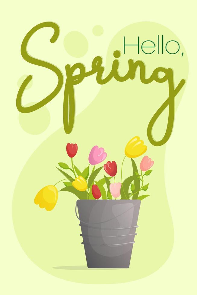 postcard iron vintage bucket with spring tulips and the inscription HELLO SPRING vector