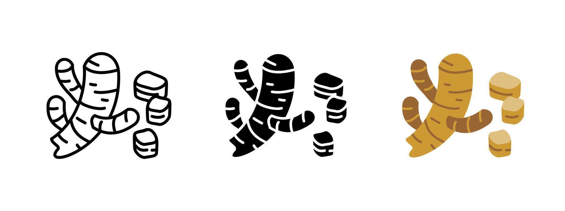 Ginger icon. Spicy and aromatic root used in cooking, tea and herbal medicine. Fresh and dried ginger pictogram. Natural ingredient for seasoning, drinks and health remedies. vector