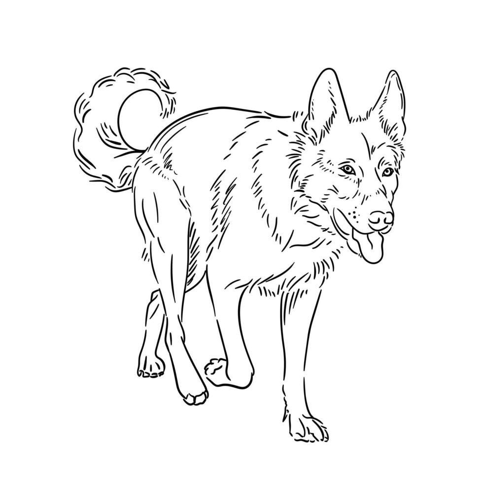 Hand drawn sketch of walking dog. vector