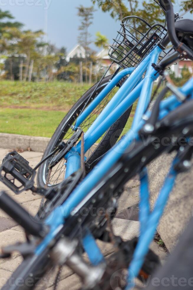 Blue Bicycles Parked on Paved Path photo