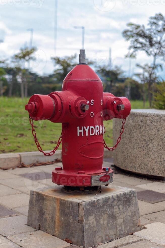 Red Fire Hydrant on Concrete Base in Public Park photo