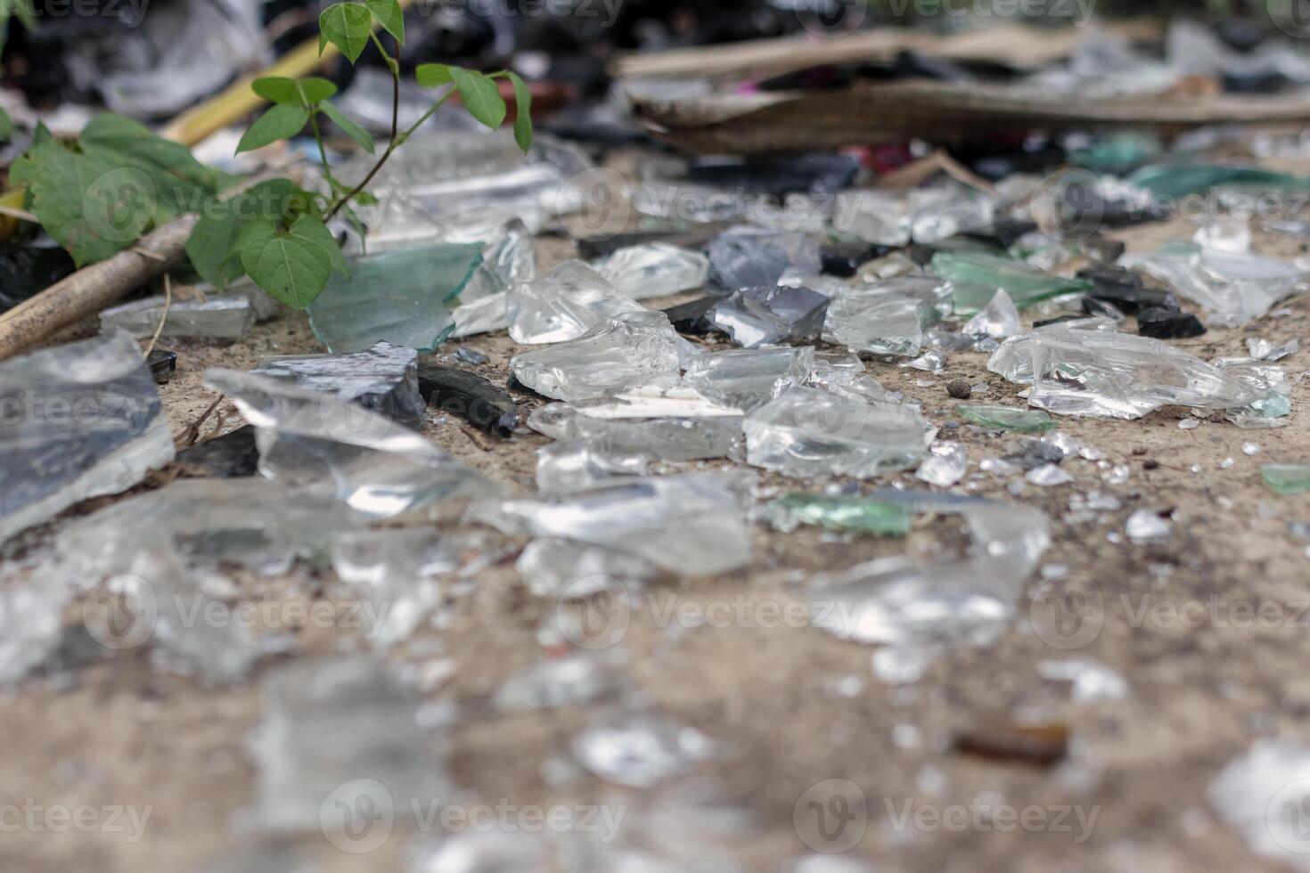 Broken Glass Shards Scattered on the Ground with Green Plant photo