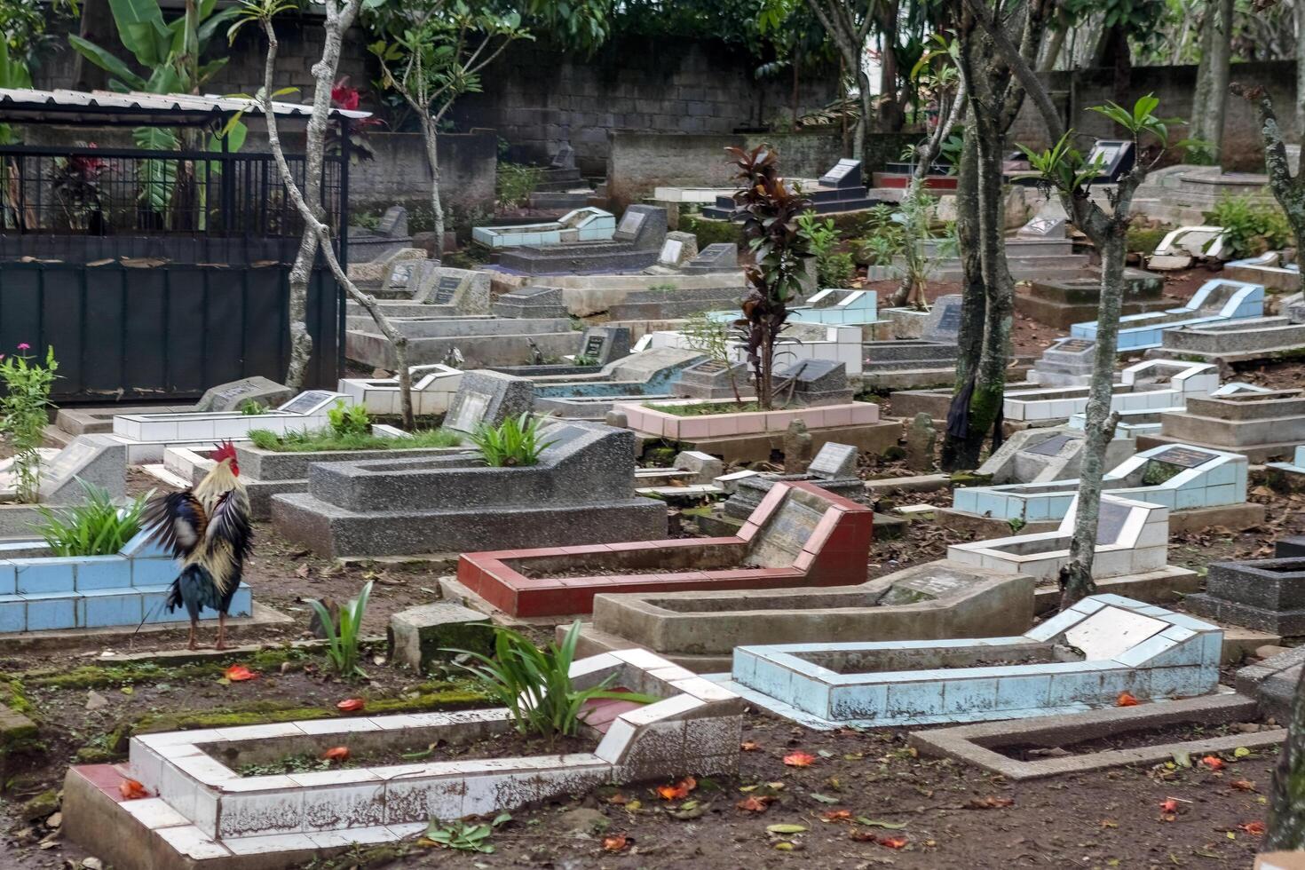 Traditional Muslim Cemetery with Gravestones and Nature, Bandung Indonesia, 06 March 2025 photo