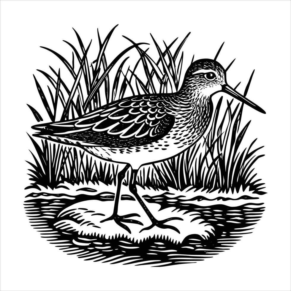 Wood Sandpiper Vectors