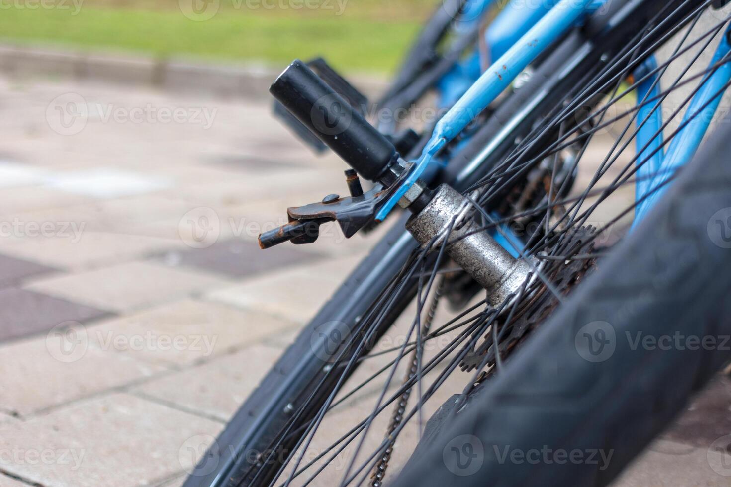 Close Up of Rear Wheel Hub and Peg on Blue Bicycle in Park photo