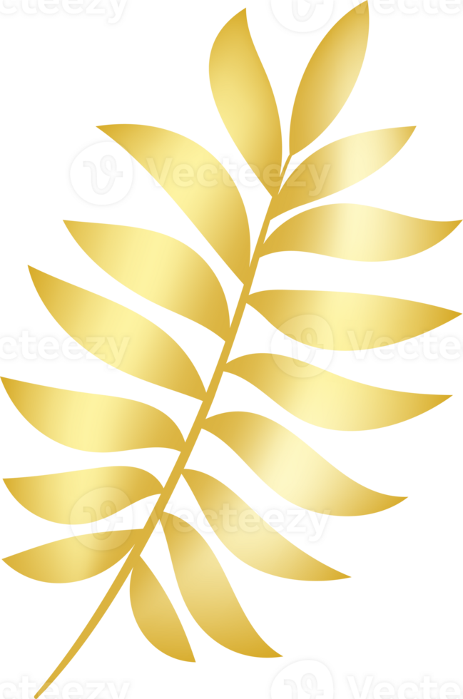 Elegant golden palm leaf with detailed fronds. Isolated on transparent background. png