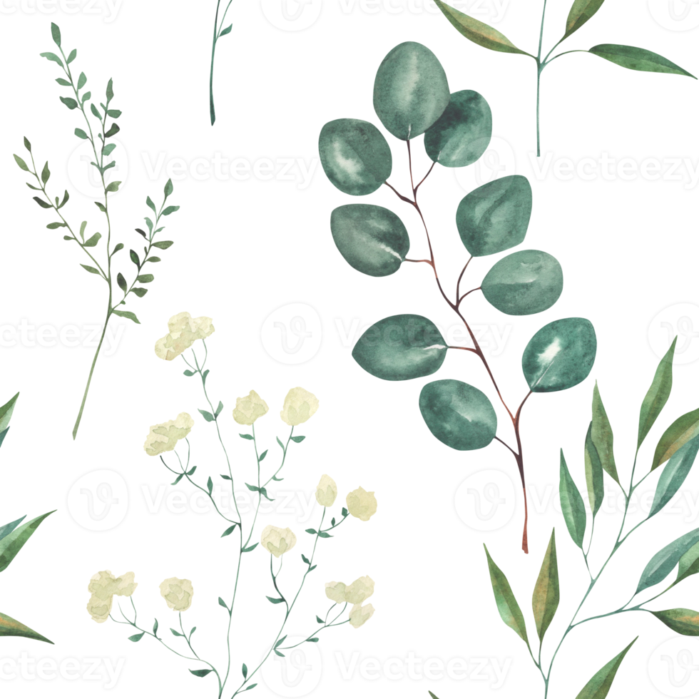 Seamless pattern with watercolor illustrations of various herbs. Seamless texture with hand-drawn green branches png