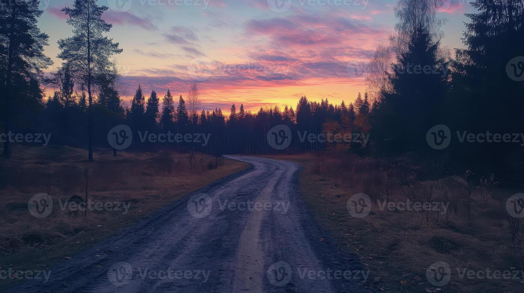 A road with trees in the background and a beautiful sunset in the sky photo