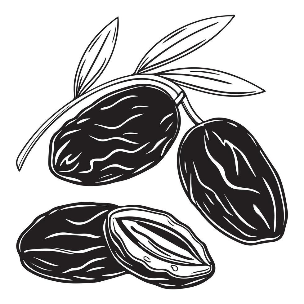 Dates Fruit Silhouette Style Sets icon vector