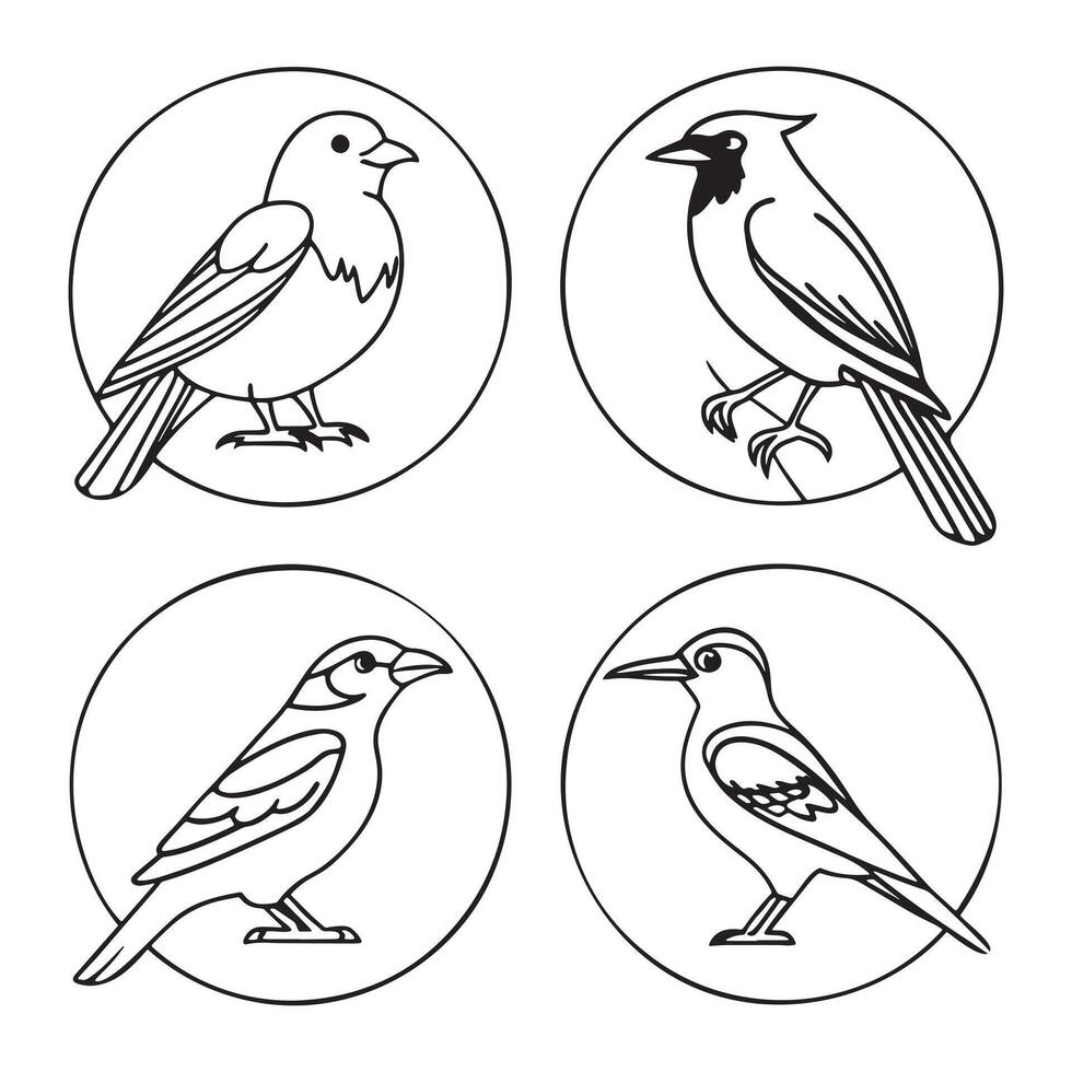 illustrations of Birds Outline Silhouettes Black Set vector