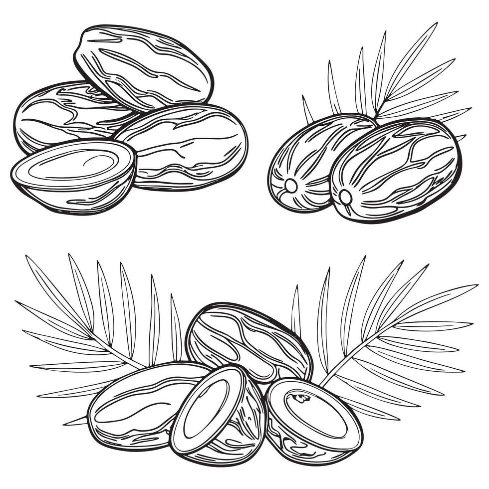 Dates Fruits Silhouette Style Set icon vector