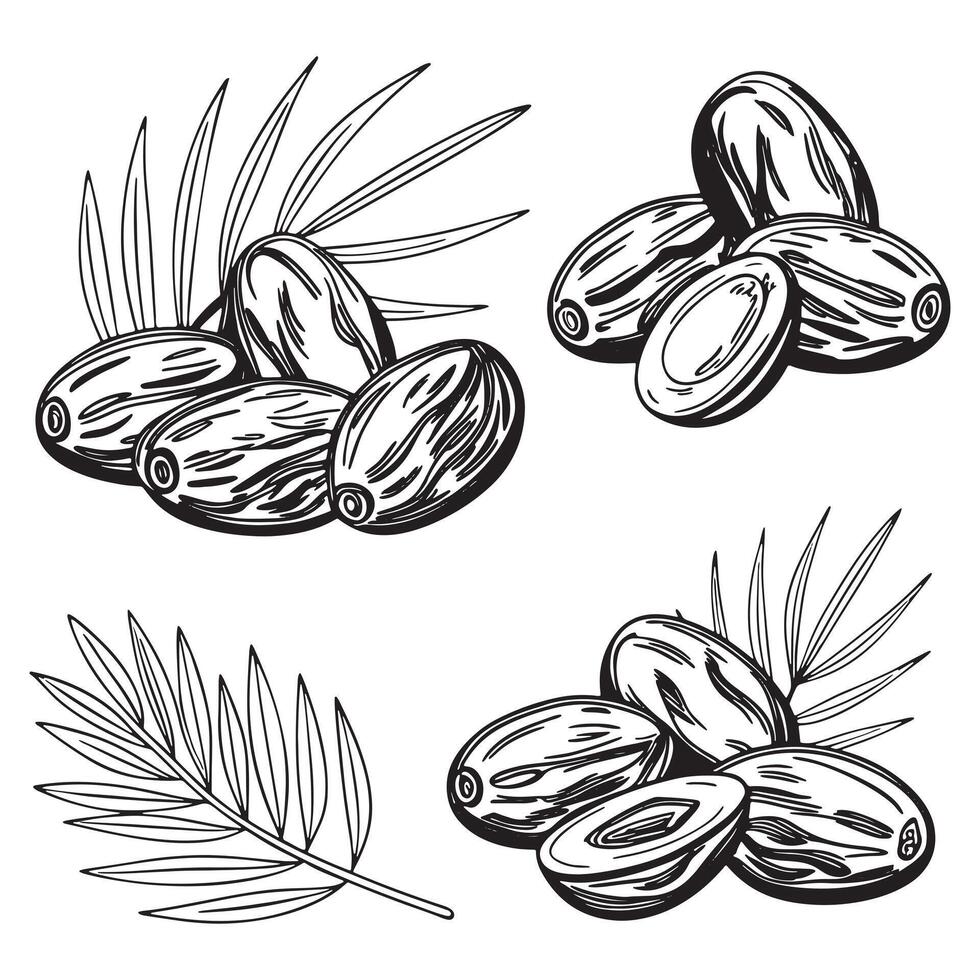 Dates Fruit Silhouette Style Set icon vector