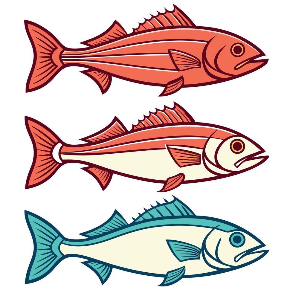 Commercial Fish Silhouettes Swordfish, Grouper, Snapper, and Haddock Collection vector