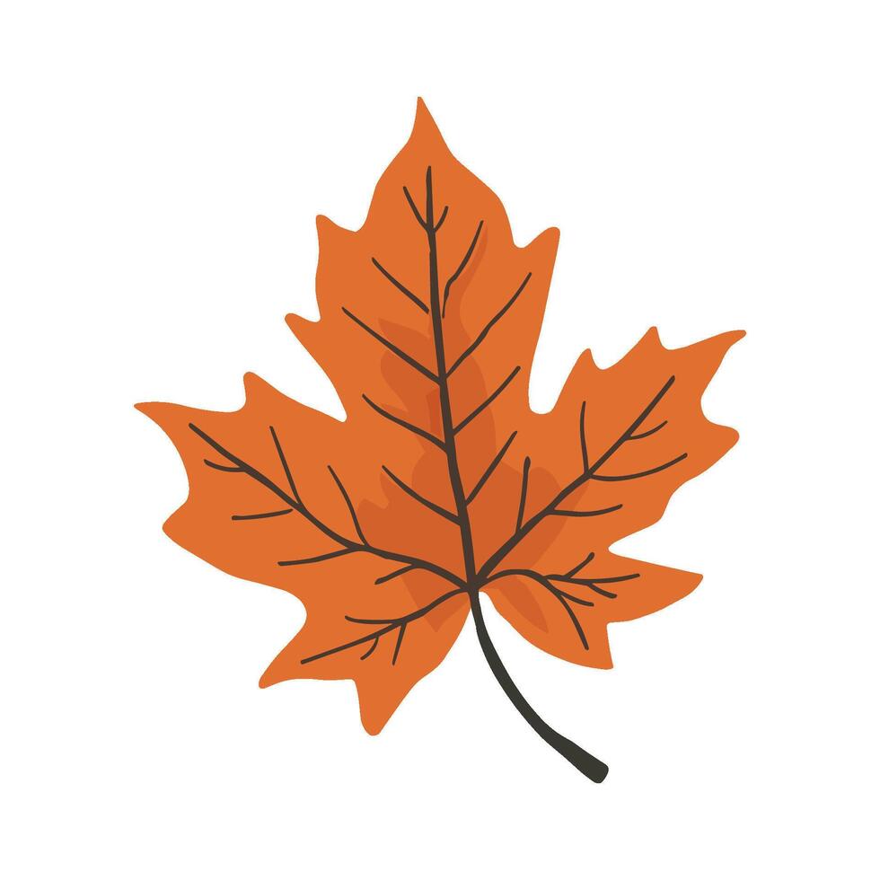 Vibrant autumn leaf illustration showcasing the beauty of fall colors in flat design style vector