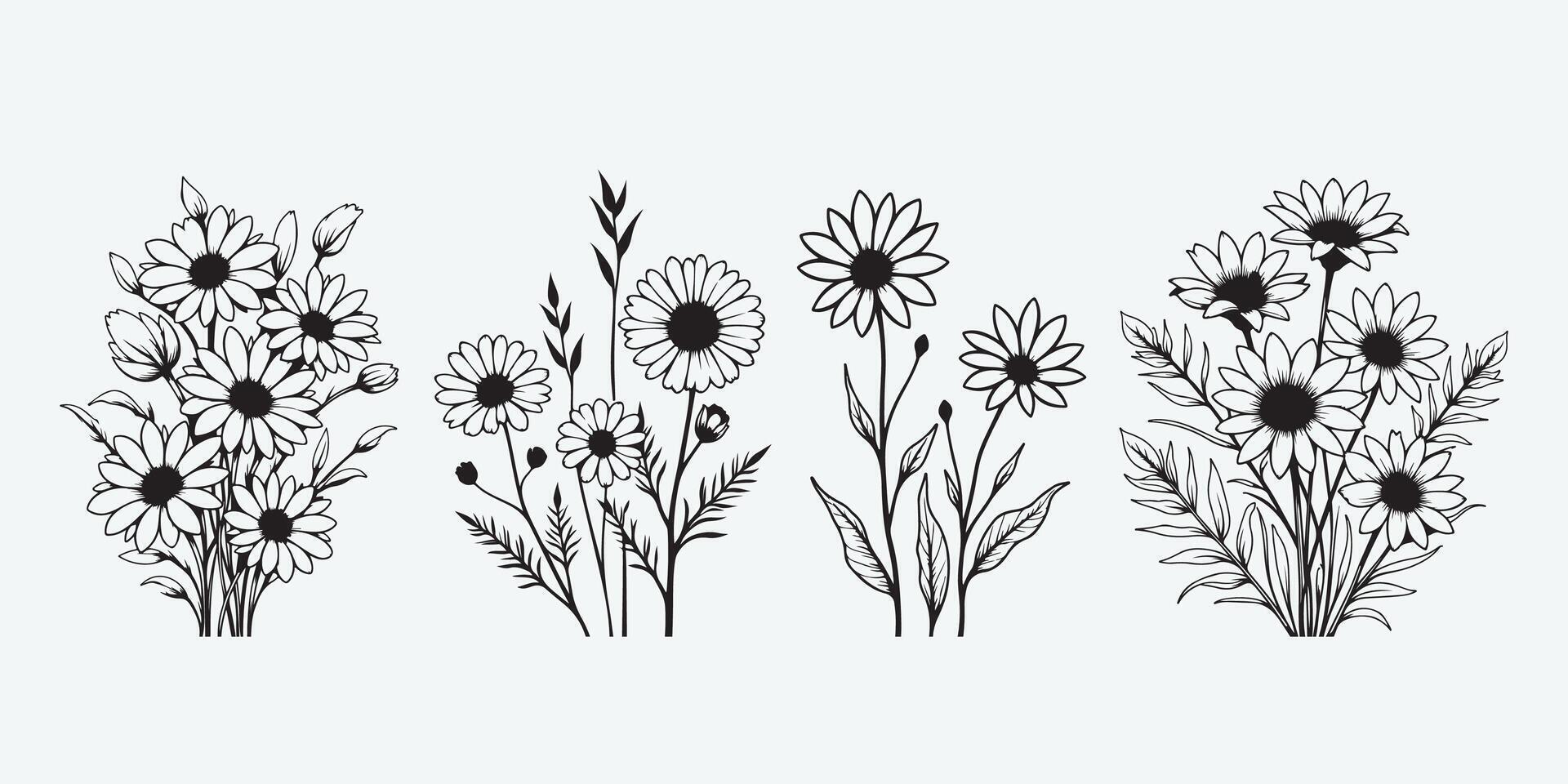 Hand drawn chamomile set and daisy floral illustration vector