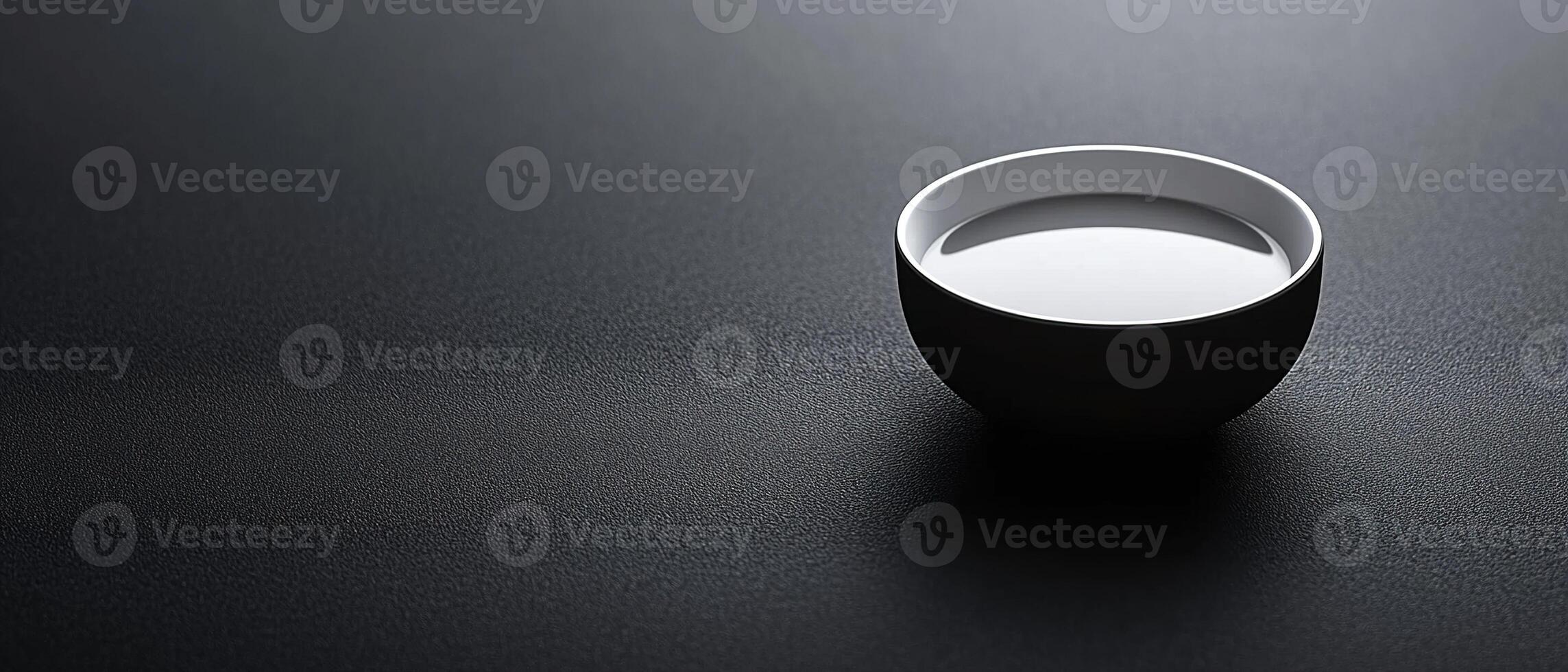 Minimalist Black and White Ceramic Bowl on a Dark Textured Surface photo