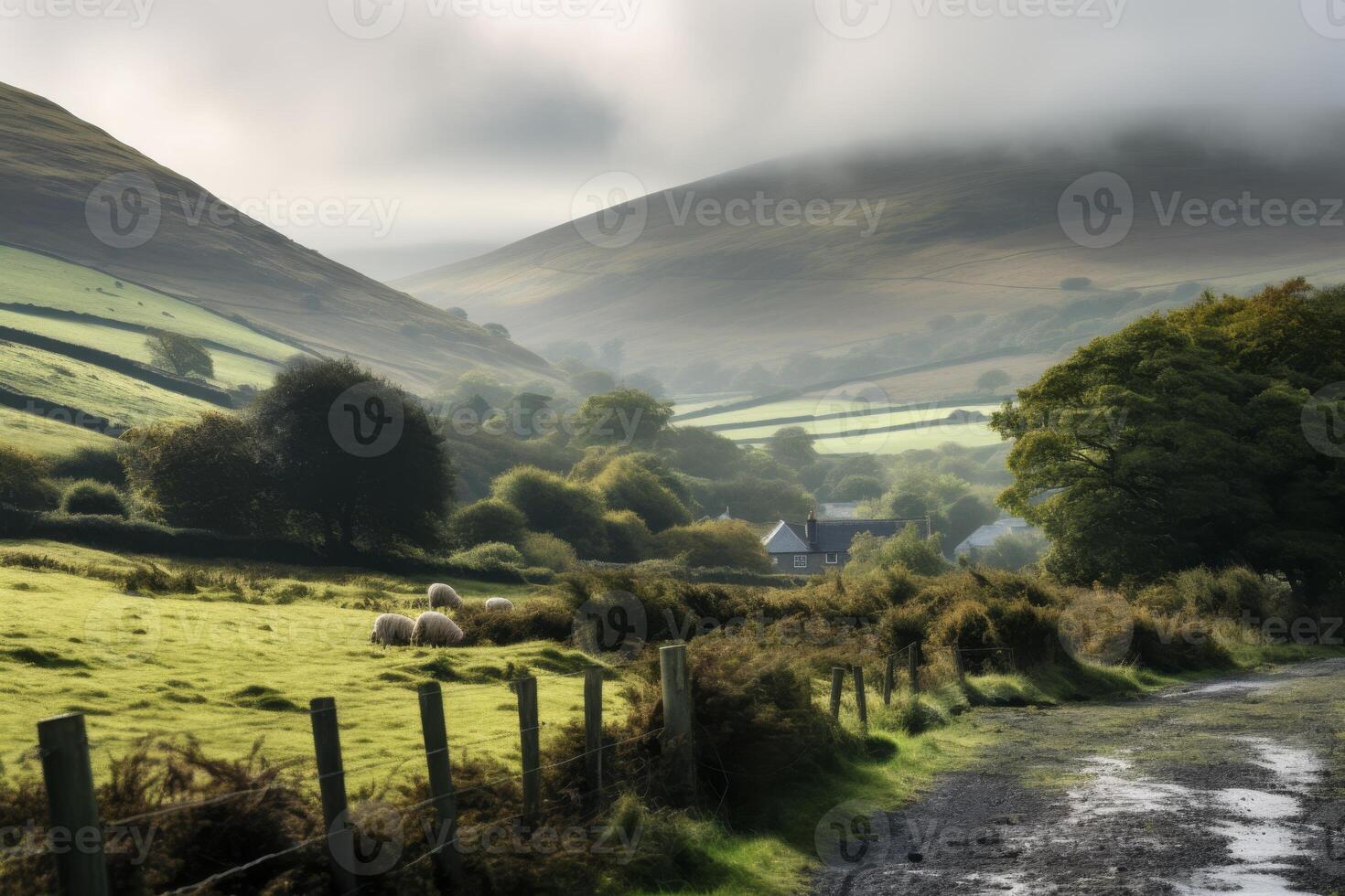 A rural landscape with a road and a fence photo