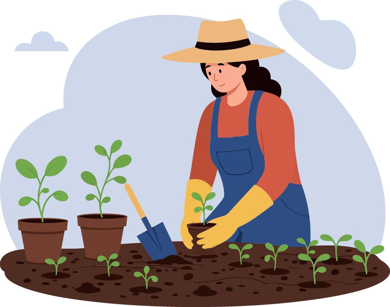 A woman in a straw hat gardening in soil with young plants in pots, flat illustration vector