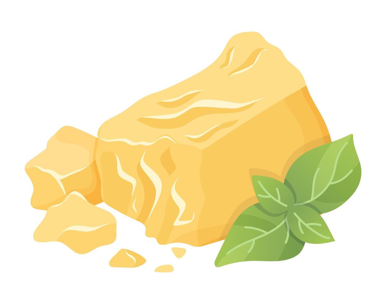 Parmesan cheese with basil . Organic farm food. Design element, cartoon flat illustration for logo, poster, menu. Isolated on white background. vector