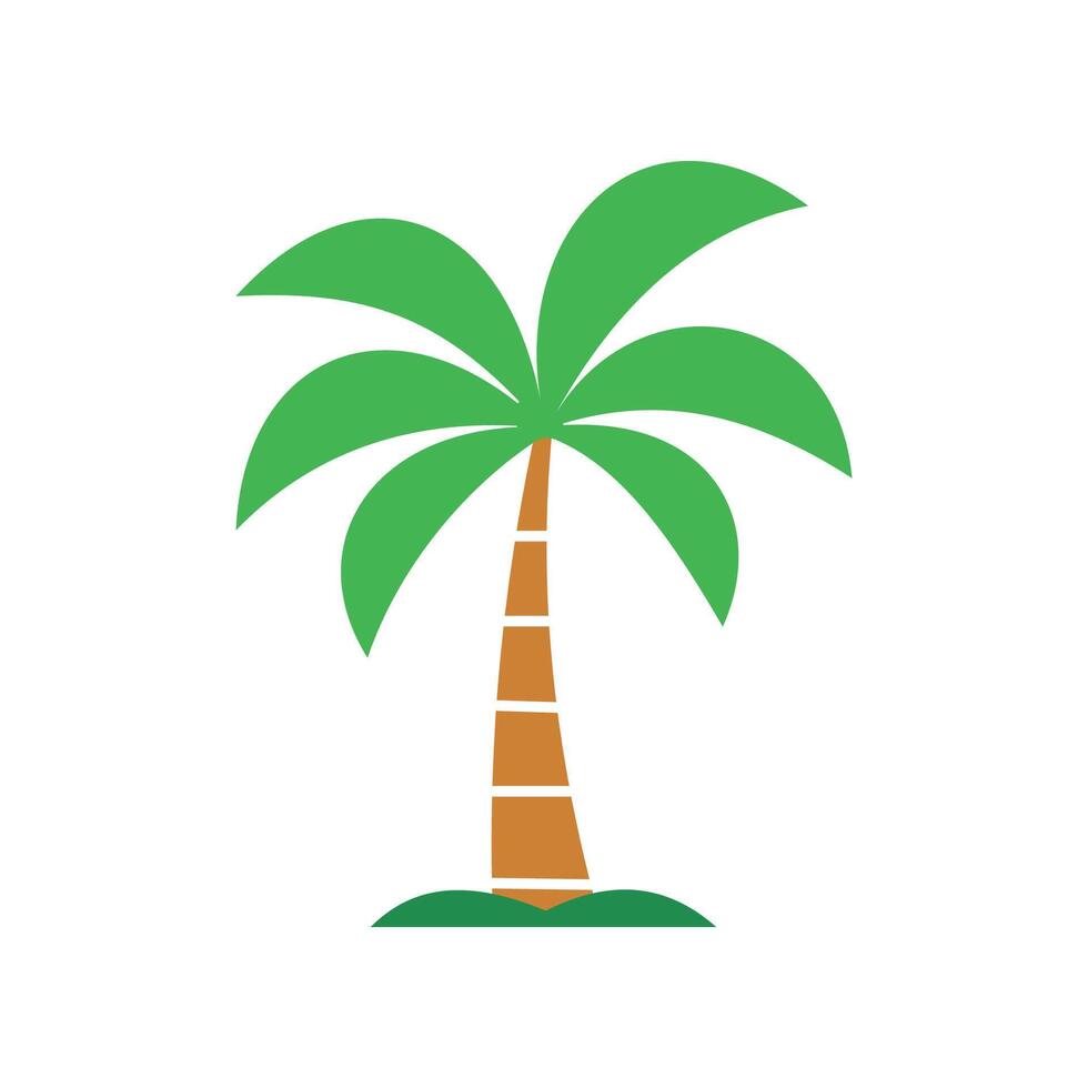 palm tree isolated on white background vector
