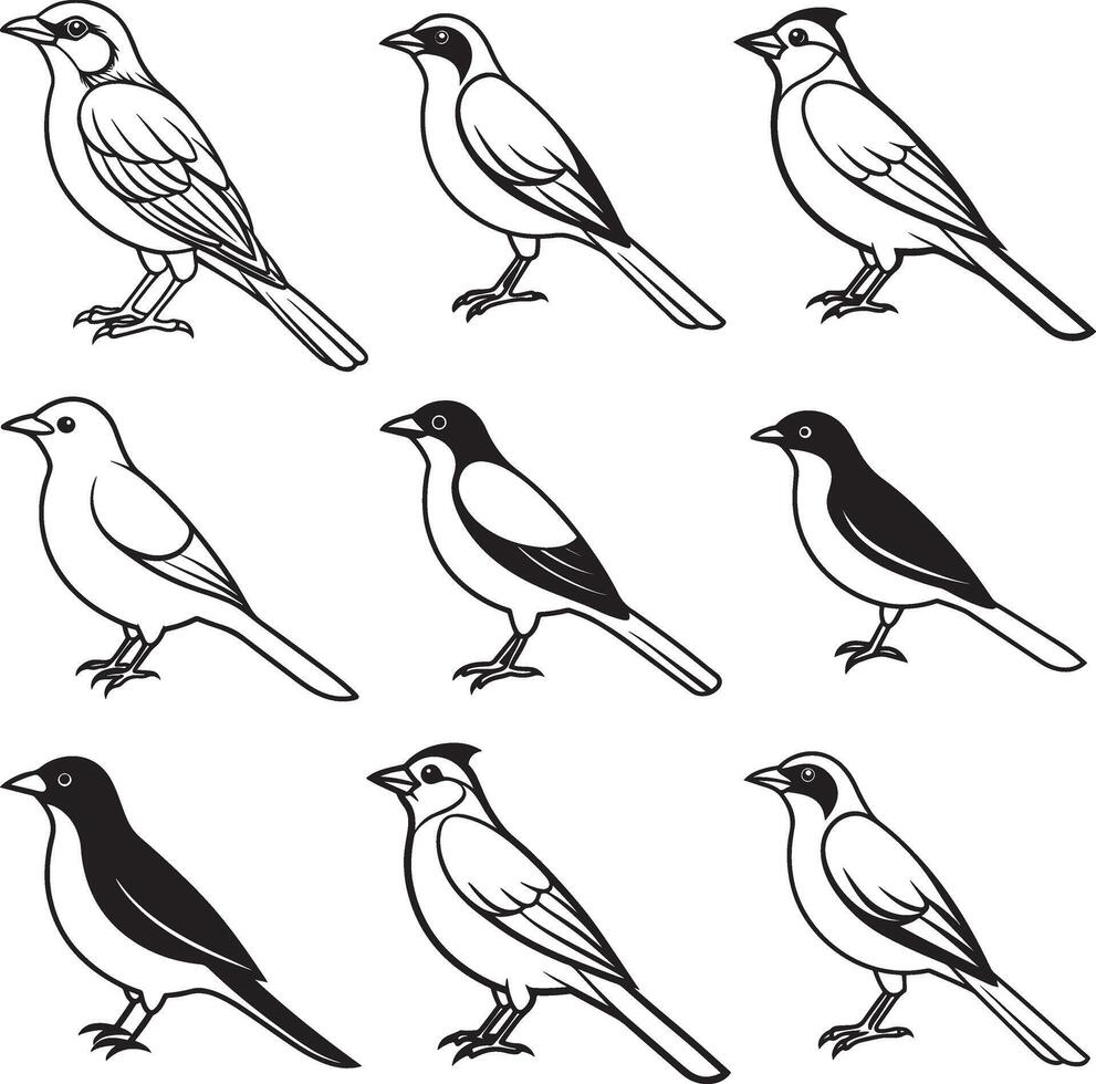 Waxwing line art birds illustration set vector