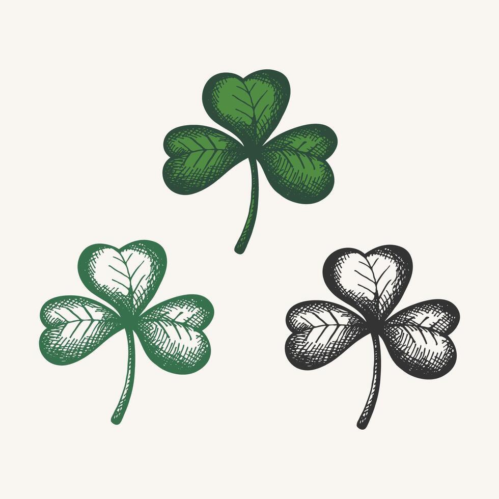 Clovers lief for Saint Patrick's Day. Hand drawn set with sketched engraved Shamrock green plants. Design for St. Patrick Irish festival for flyer, card, paper, textile, wrapping, sign, logo vector