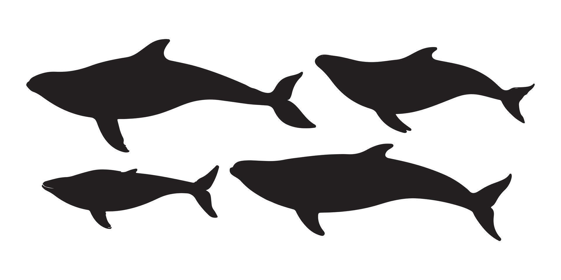 Black Silhouette Illustrations of Dolphins vector