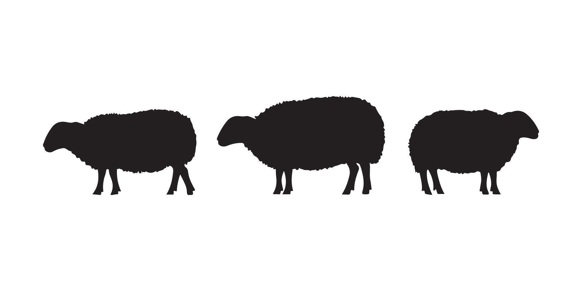 three black silhouettes of sheep vector