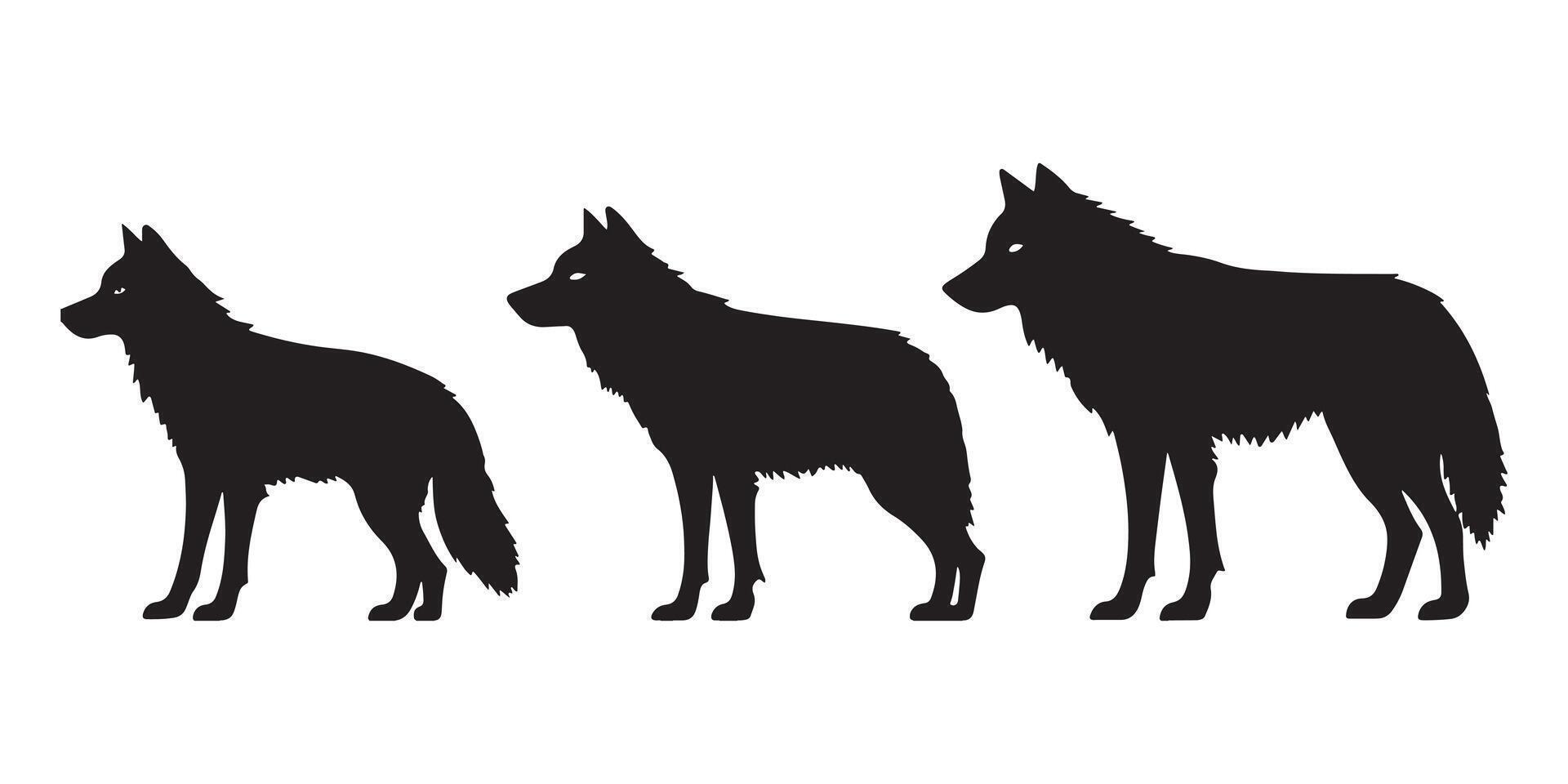 Three Unique Black Silhouettes Representing Wolves in Standing Poses with Varied Angles and Expressions vector
