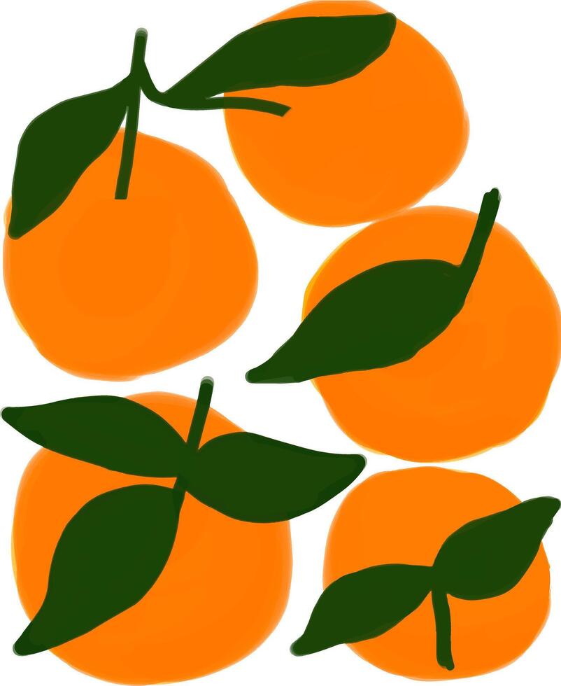a group of oranges with leaves vector