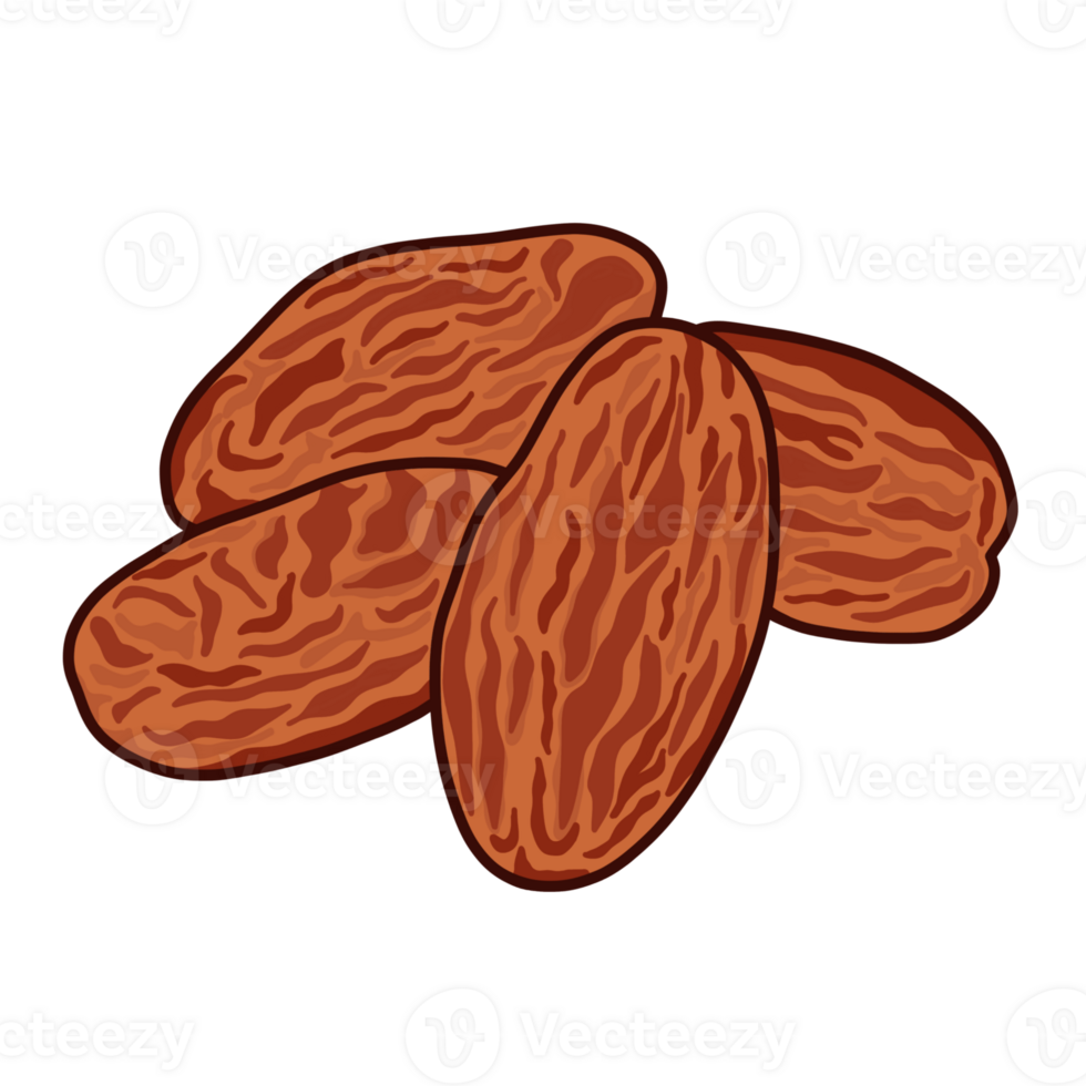 Realistic Dates Fruit Illustration png