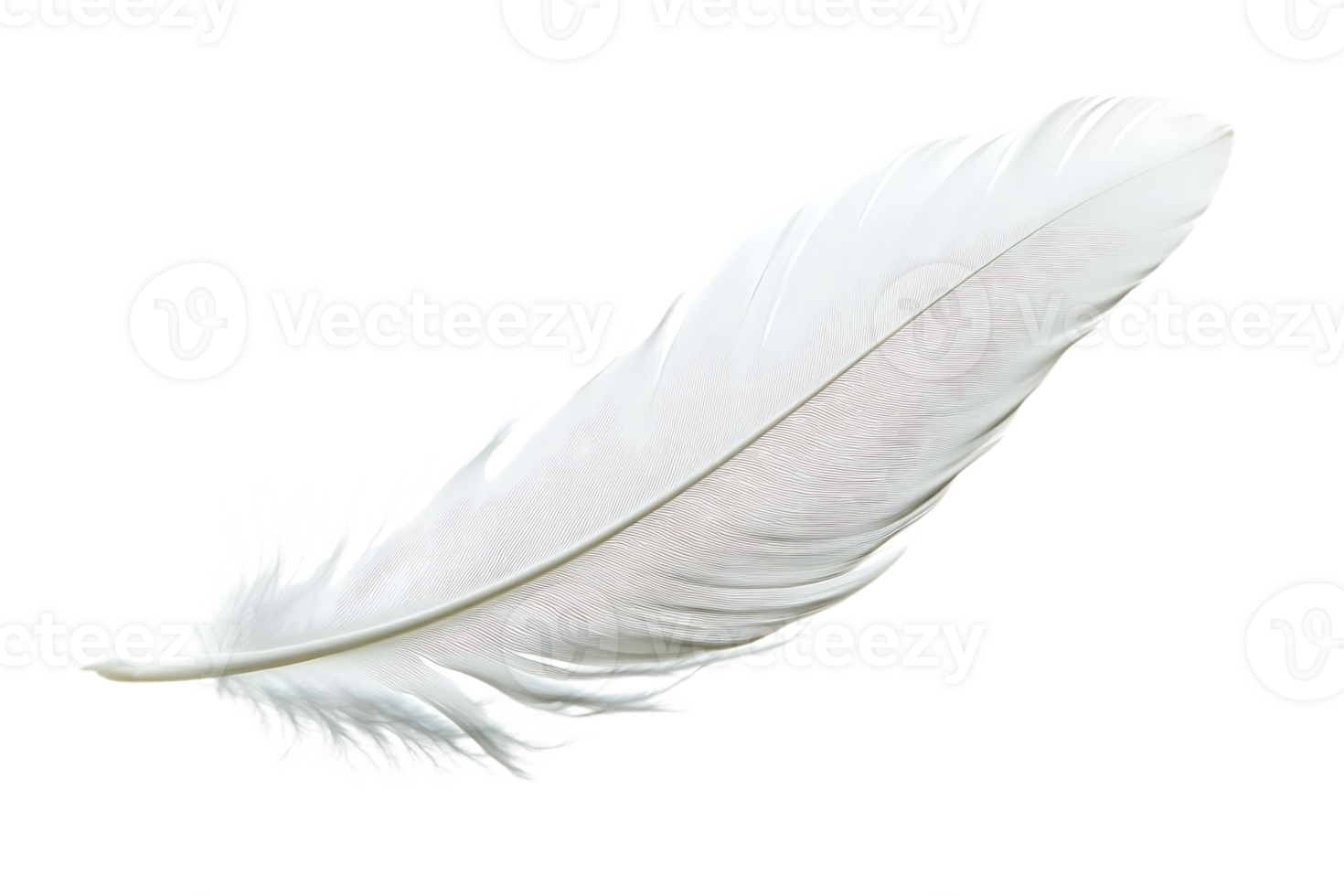 White Feather floats on a transparent background, ideal for design projects. png