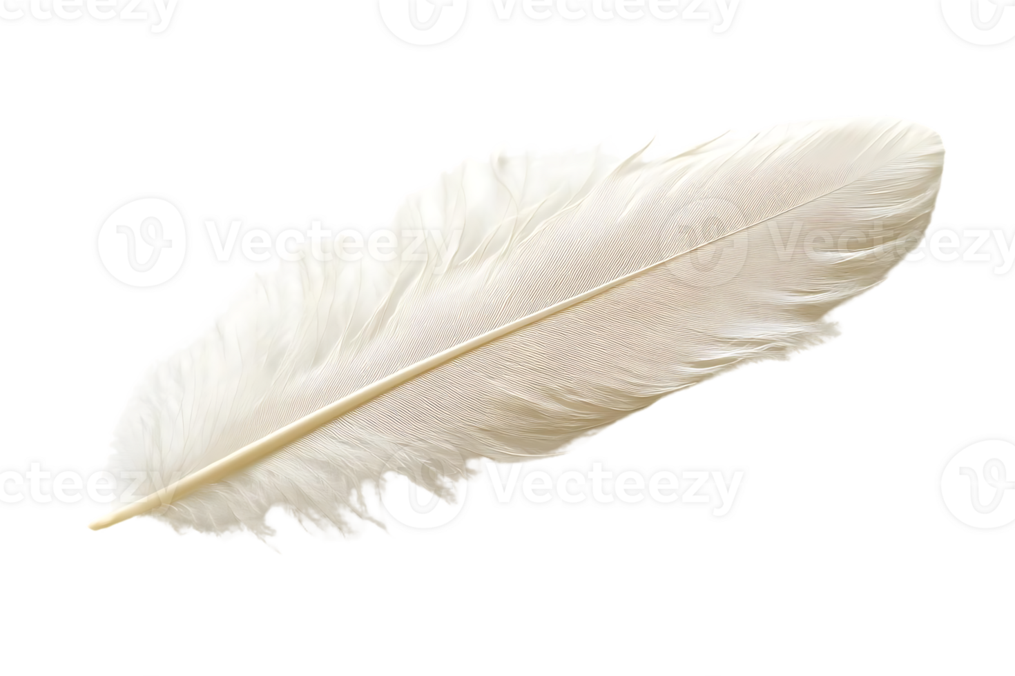 White Feather, Isolated on Transparent Background png