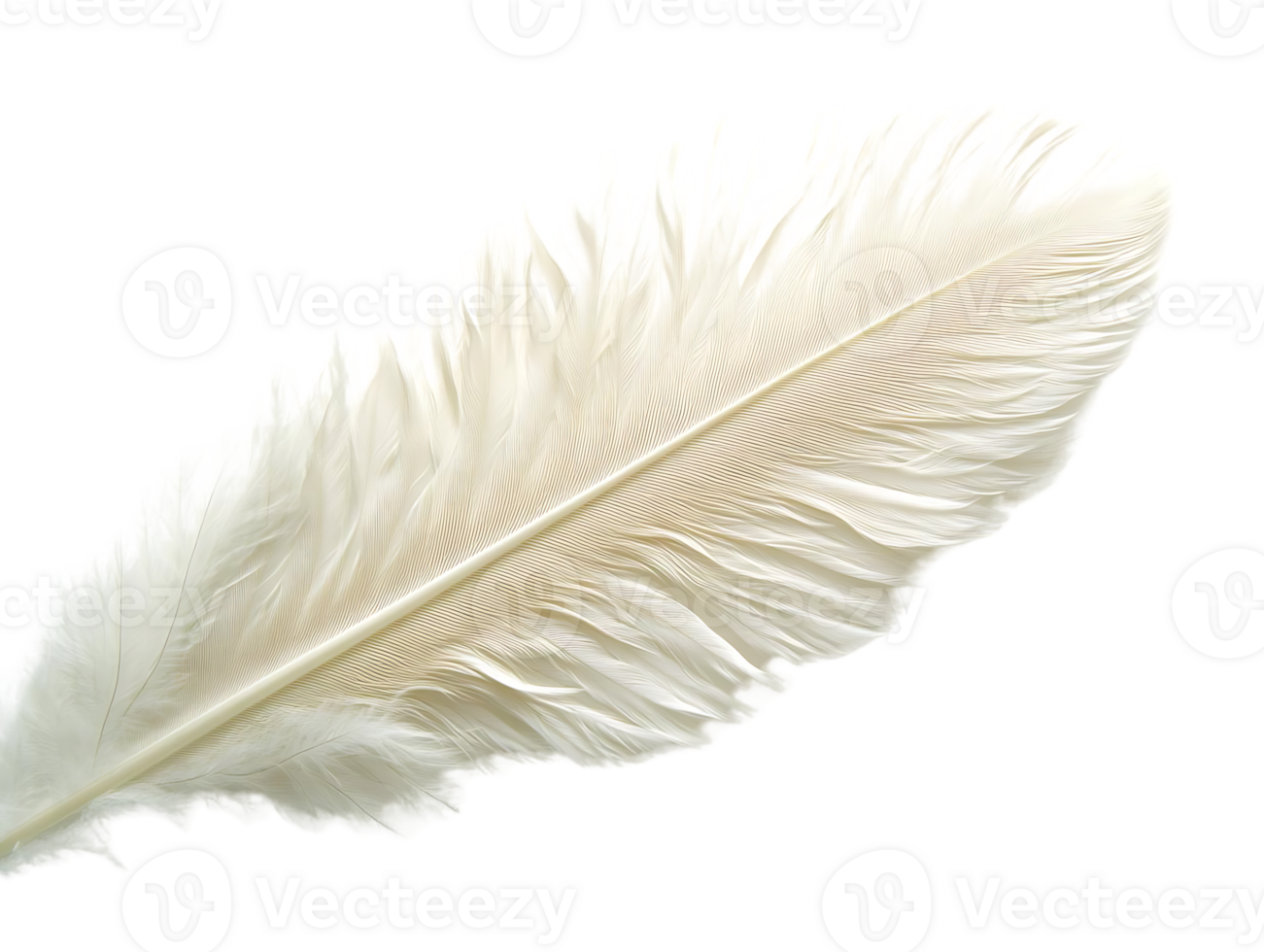 White Feather, Soft Texture, Background Transparent, Graphic Design Resource, Perfect for Projects png