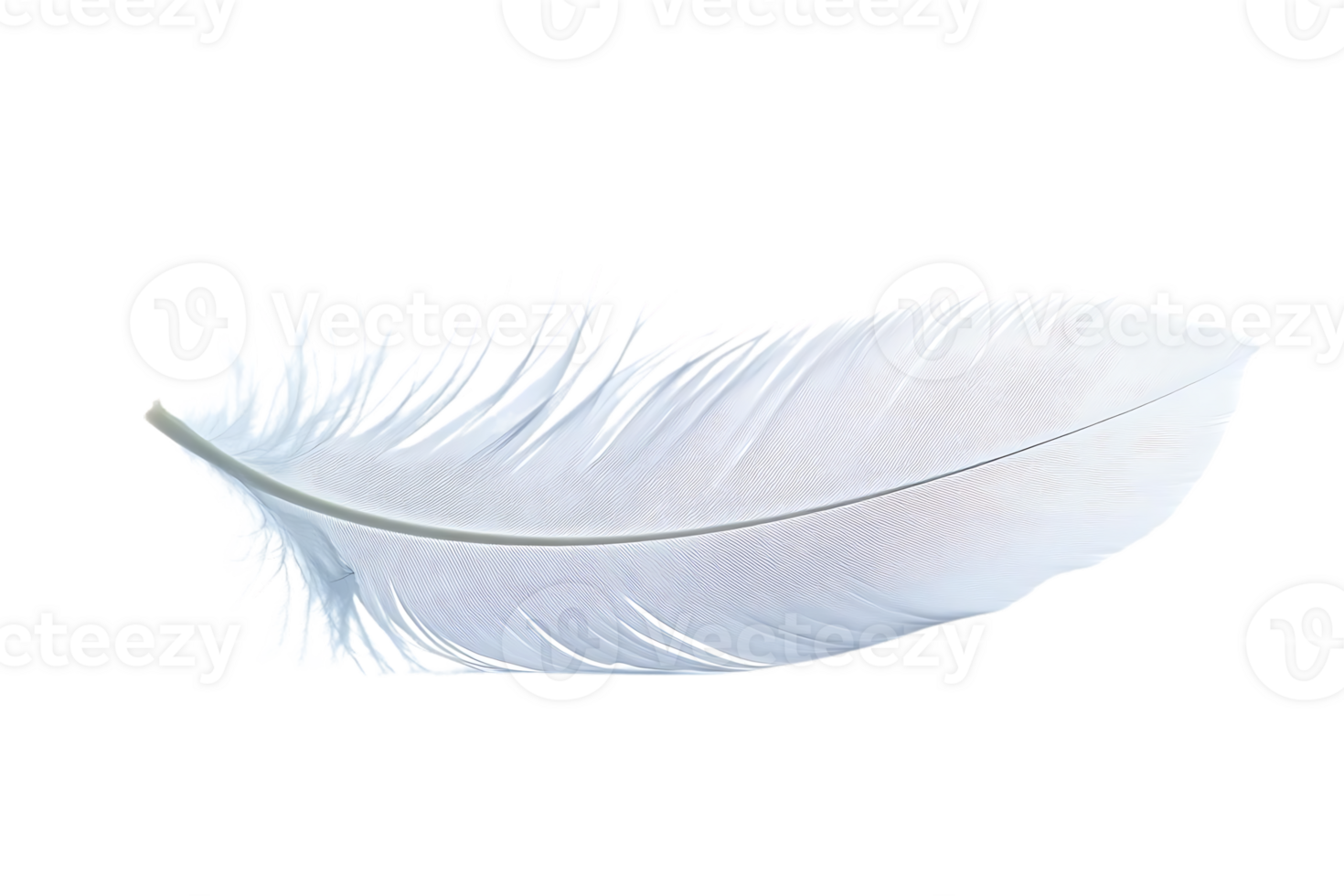 White Feather floats Gently on Black, Transparent Background Image png