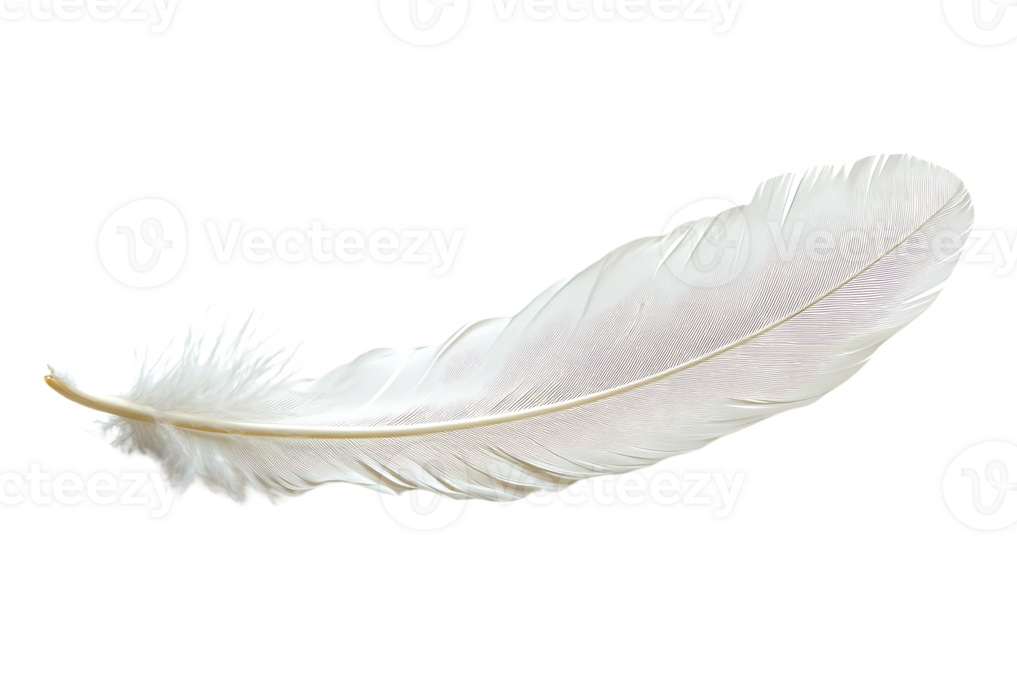White Feather floats Gently on Black Background, Ideal for Design Projects. png