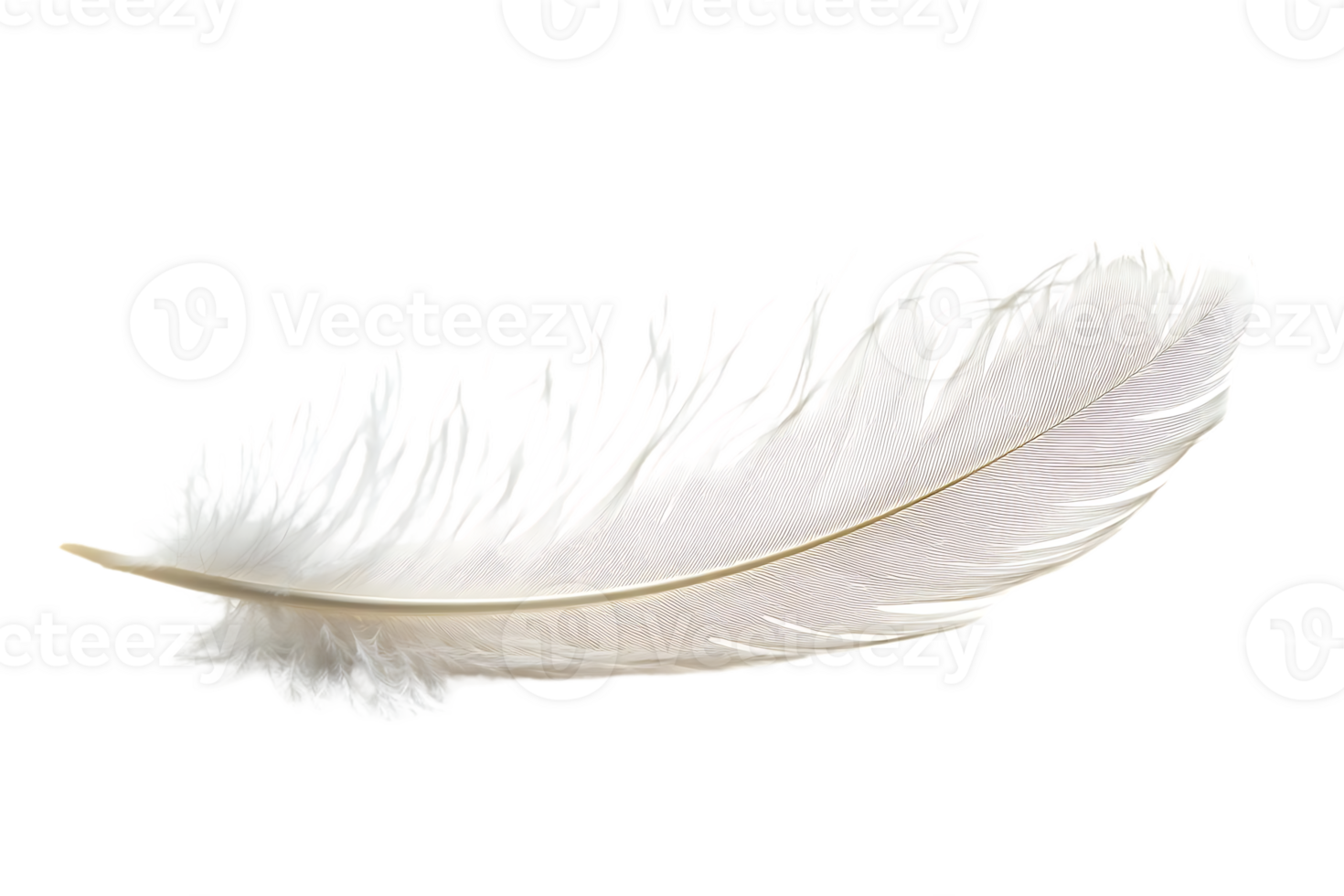 White Feather floats on Transparent Background, Soft, Light, Airy, Delicate, Graceful, Elegant, Pure, Serene, Natural, Background Image. png