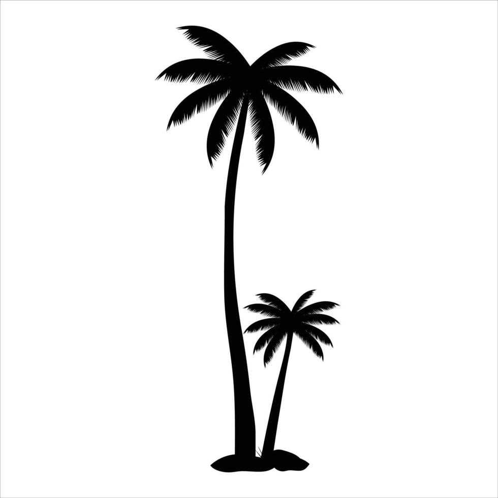 Highly Detailed Palm Trees vector