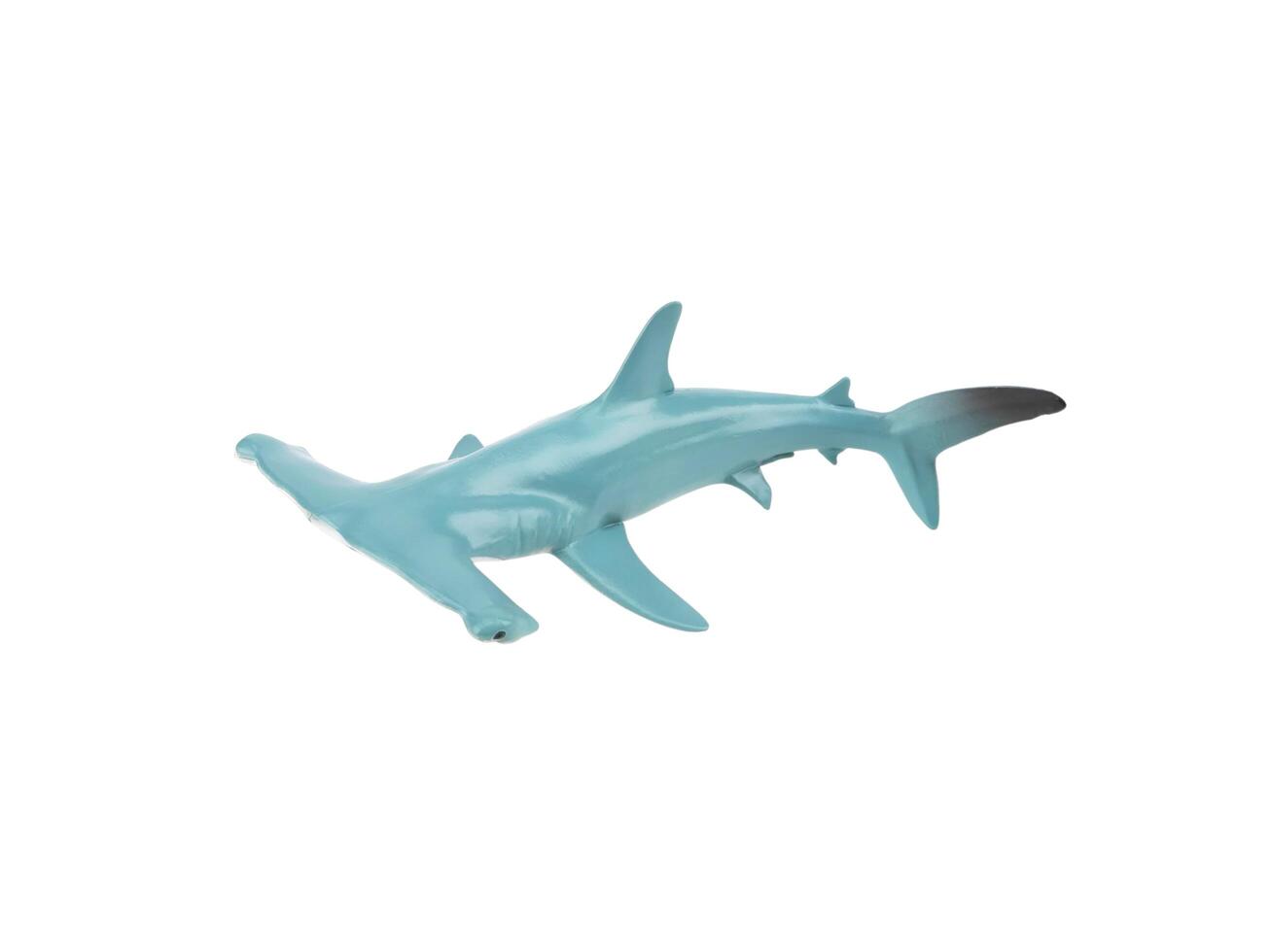 A blue plastic shark with a long tail photo