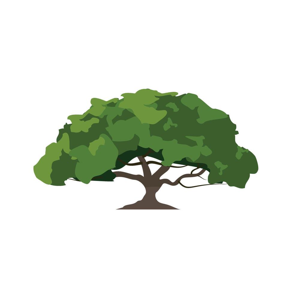 Nature big tree over white vector